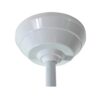 15553572757 15552362145 base lyon branco